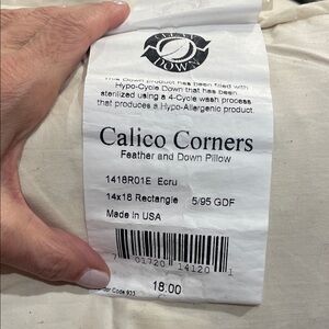 Feather and Down Pillow - Ecru